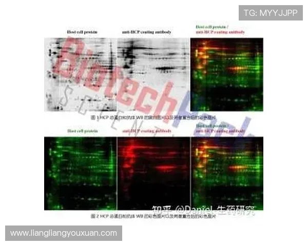 基于球队数据分析深度全面揭示对手弱点并制定策略可行性综合报告